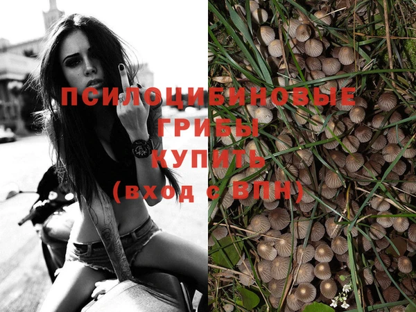 трава Абдулино