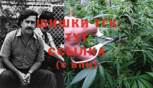 хмурый Абинск
