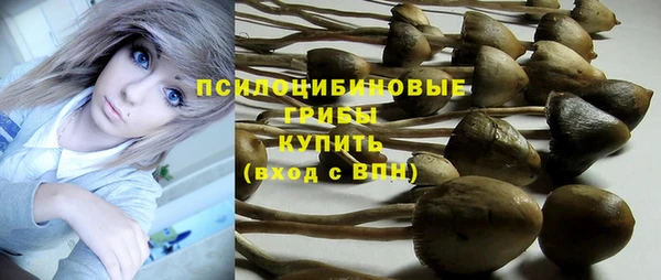 хмурый Абинск