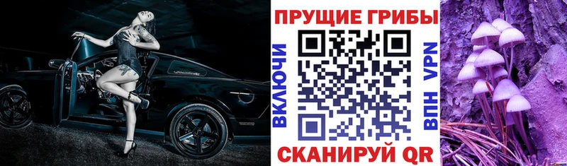 Галлюциногенные грибы GOLDEN TEACHER  закладка  Псков 